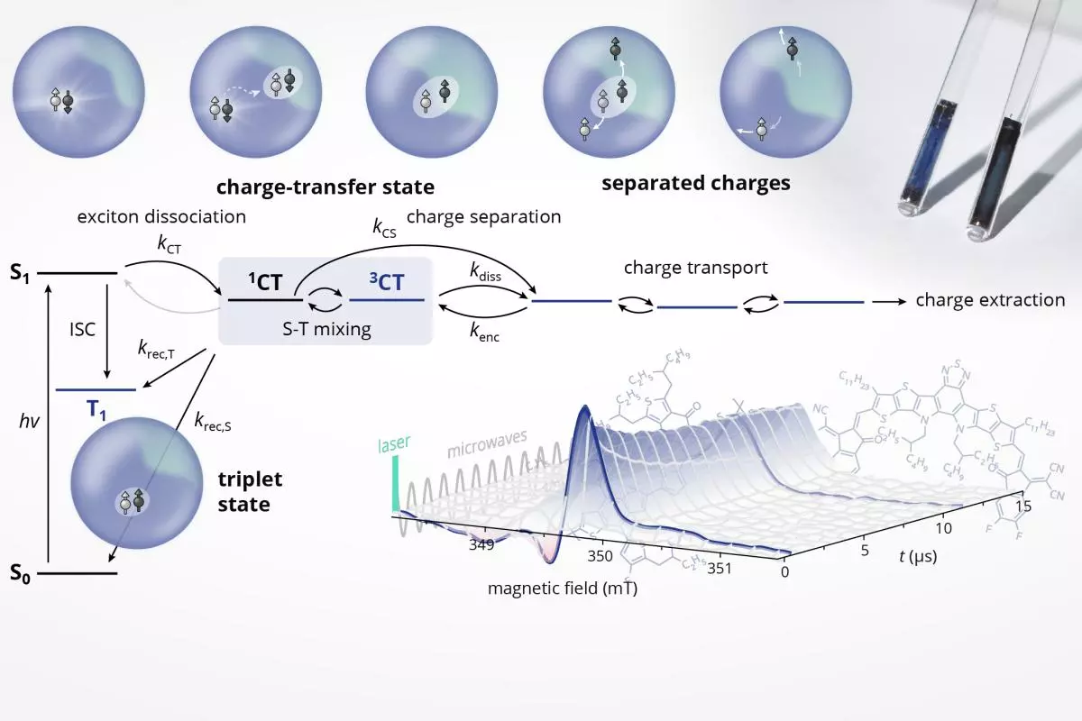 Photoinduced paramagnetic states involved in the photovoltaic mechanism for organic photovoltaics and their time-dependent evolution detected by transient EPR