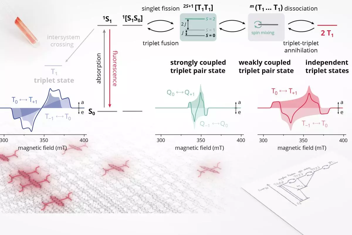 Triplet states and quintet states detected by transient EPR reveal details on the singlet fission process
